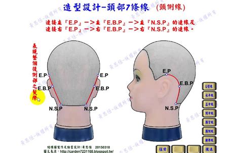跳蚤消除 頭部七條基準線中 耳點與頸側點的連線是